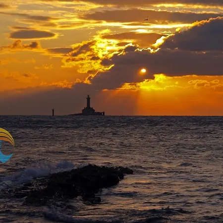 Radojka 1530 프레멘투라